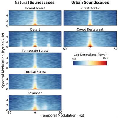 Developmental origins of natural sound perception